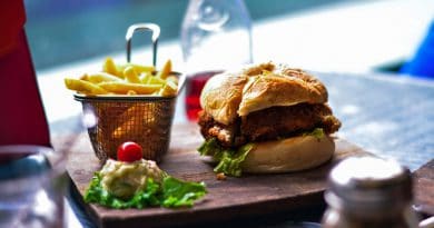 Tierfreie Patties