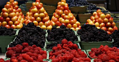 Food Pairing - Neuer Food Trend