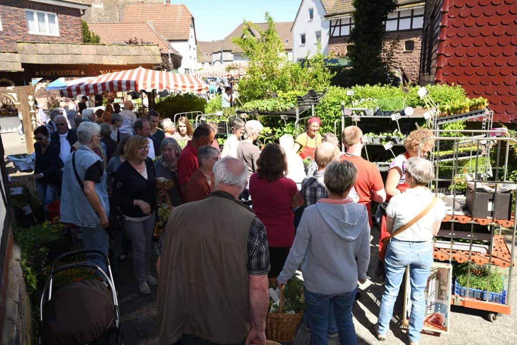 Bio-Kräuter- und Pflanzenmarkt in Bevern
