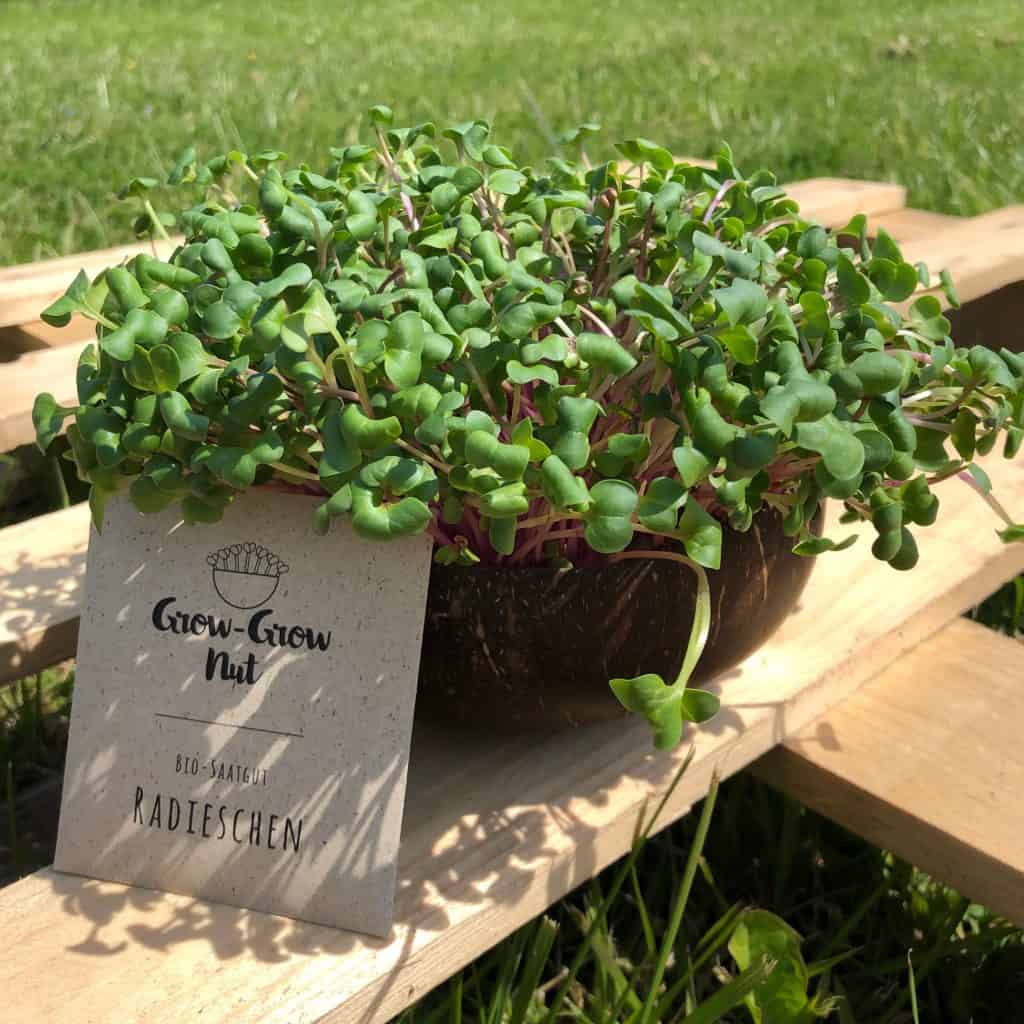 Mit Grow Grow Nut Bäume pflanzen
