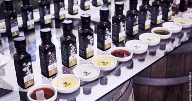 Ölmühle Solling Öl Probiertisch