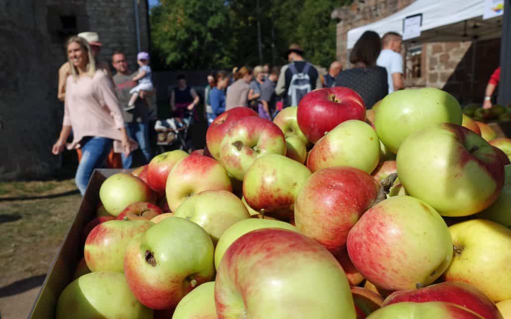 Regionalmarkt am 15. September